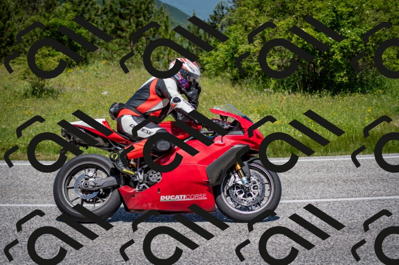 202506081157-DSC_6650_c2