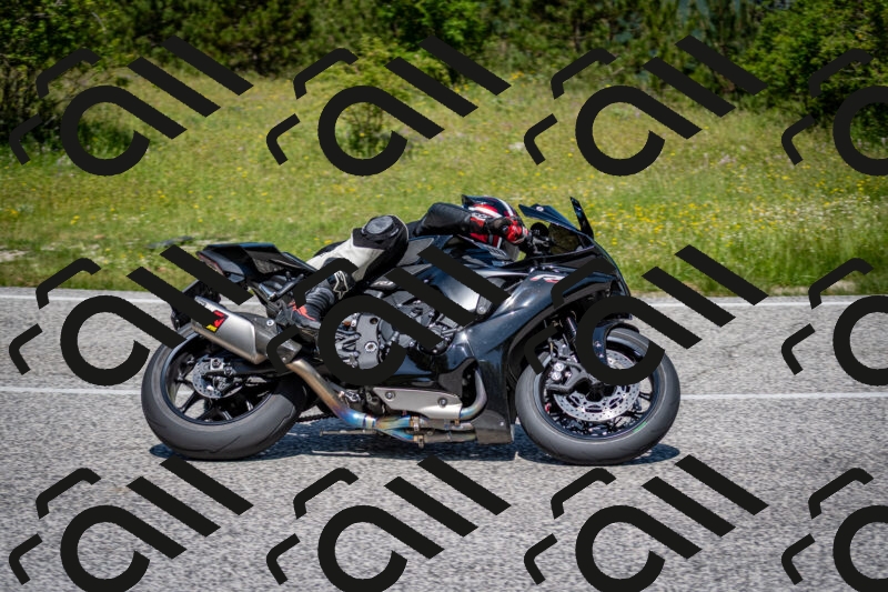 202506081157-DSC_6654_c2