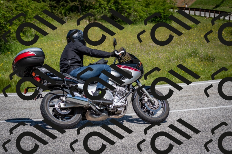 202506081157-DSC_6666_c2