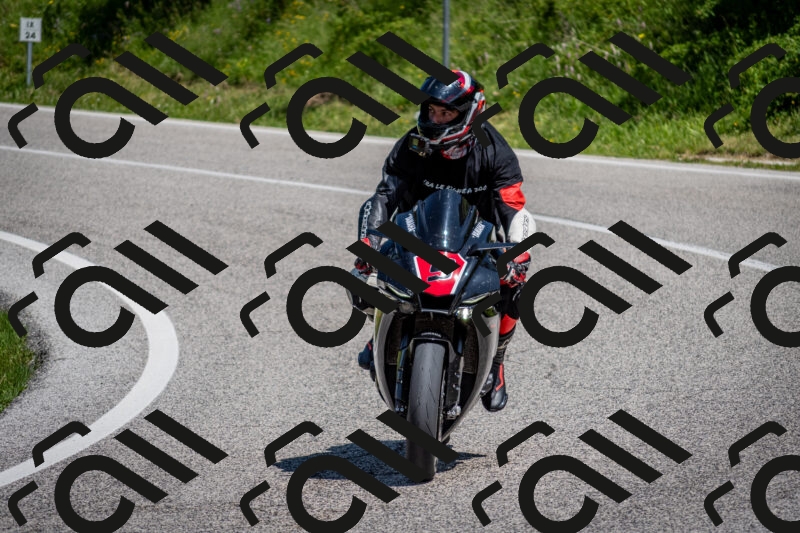 202506081158-DSC_6683_c2