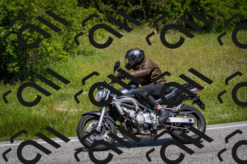 202506081159-DSC_6685_c2