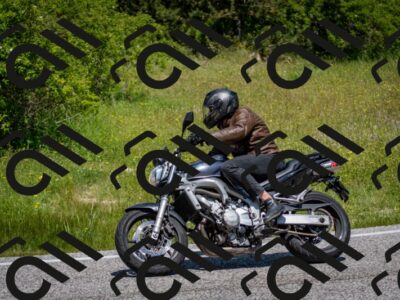 202506081159-DSC_6685_c2