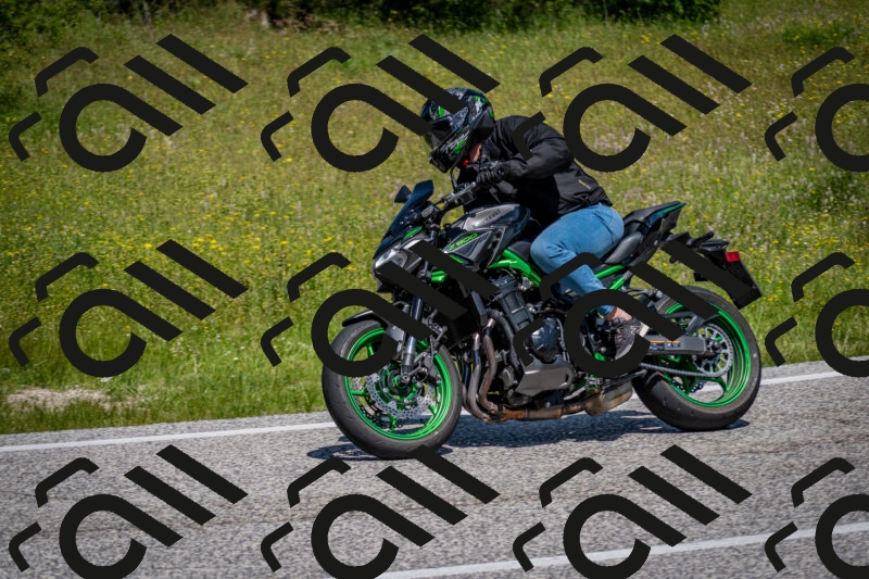 202506081159-DSC_6686_c2