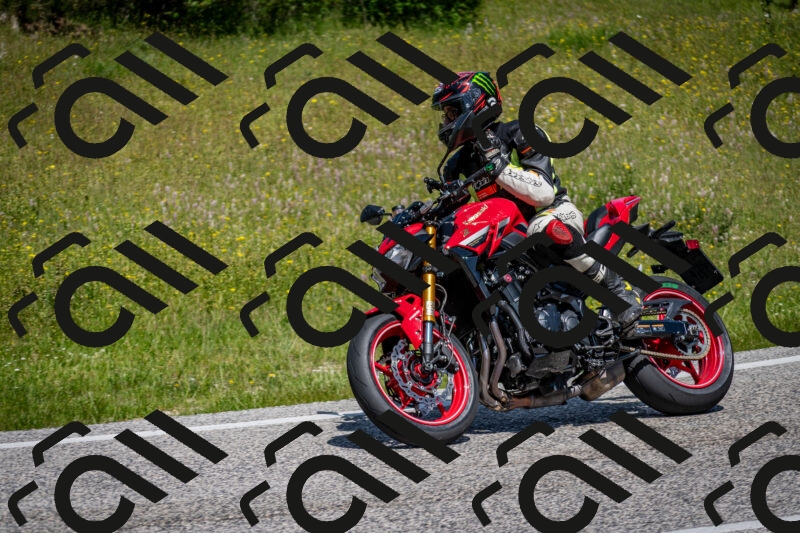 202506081159-DSC_6692_c2