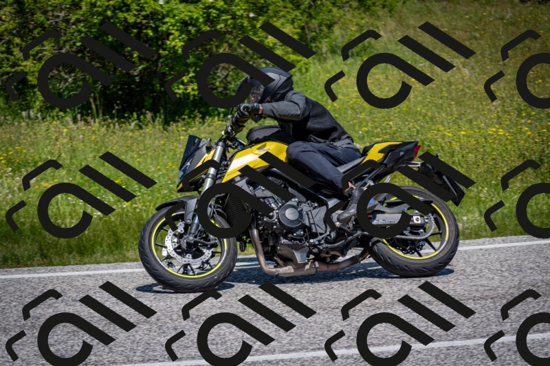 202506081200-DSC_6695_c2