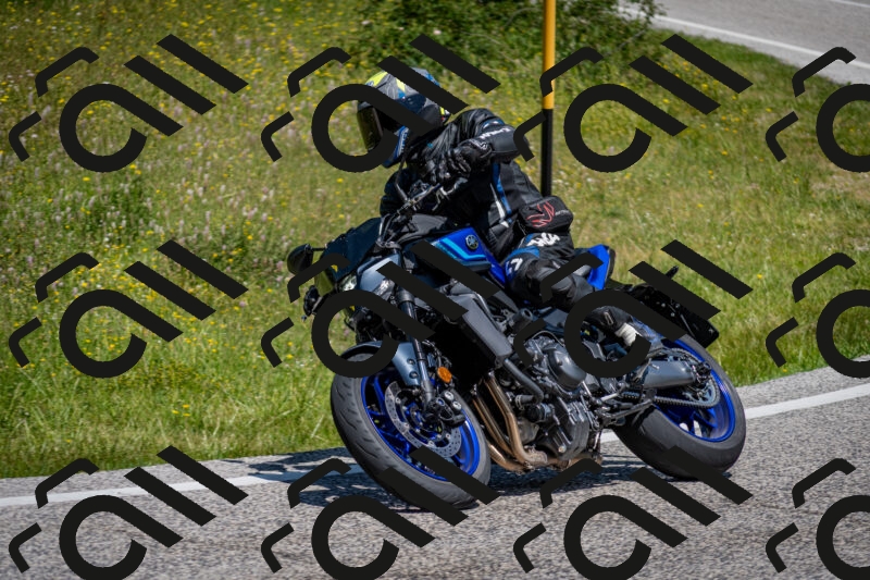 202506081202-DSC_6709_c2