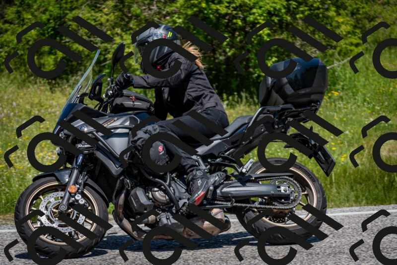 202506081205-DSC_6738_c2