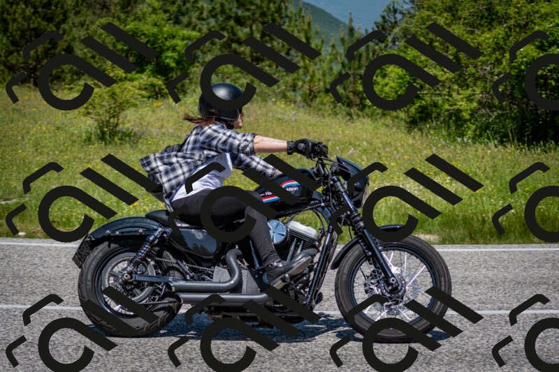 202506081207-DSC_6747_c2