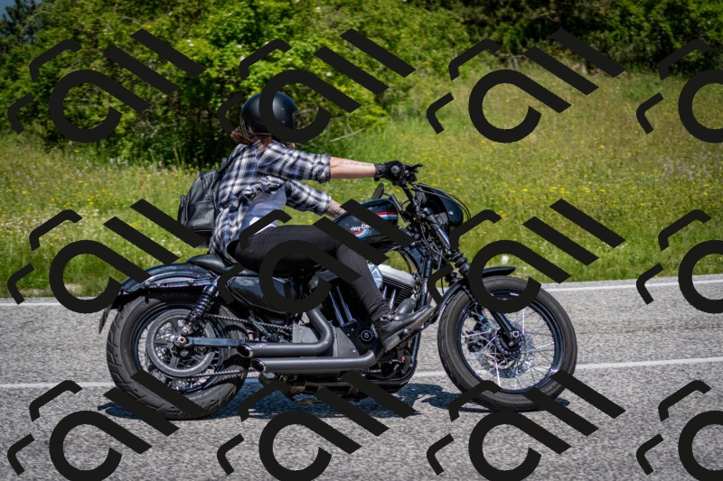 202506081207-DSC_6748_c2