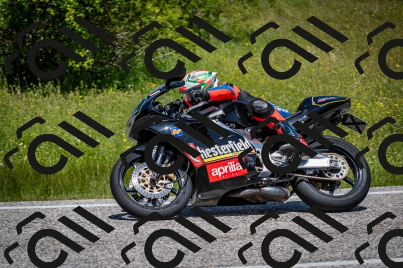 202506081210-DSC_6777_c2