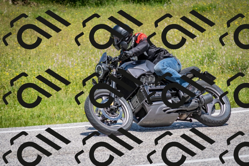 202506081211-DSC_6793_c2