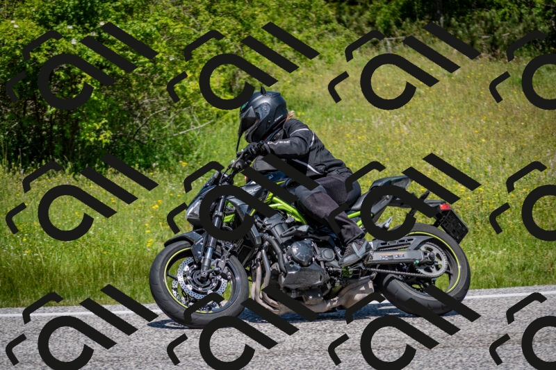 202506081212-DSC_6801_c2