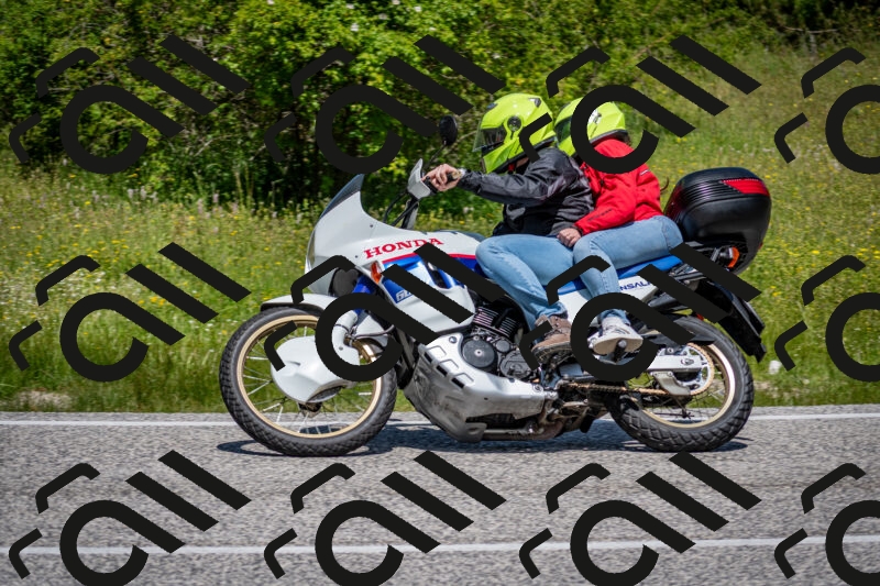 202506081212-DSC_6809_c2