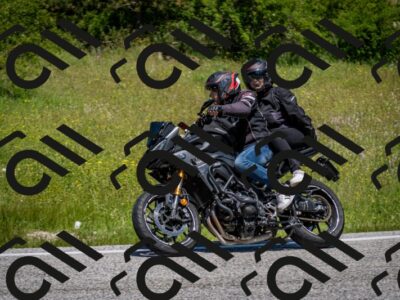 202506081212-DSC_6816_c2