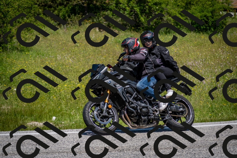 202506081212-DSC_6816_c2