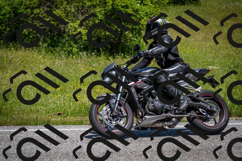 202506081215-DSC_6844_c2