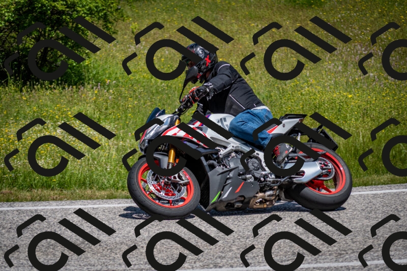 202506081215-DSC_6850_c2