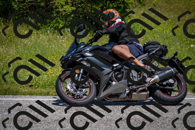 202506081215-DSC_6852_c2