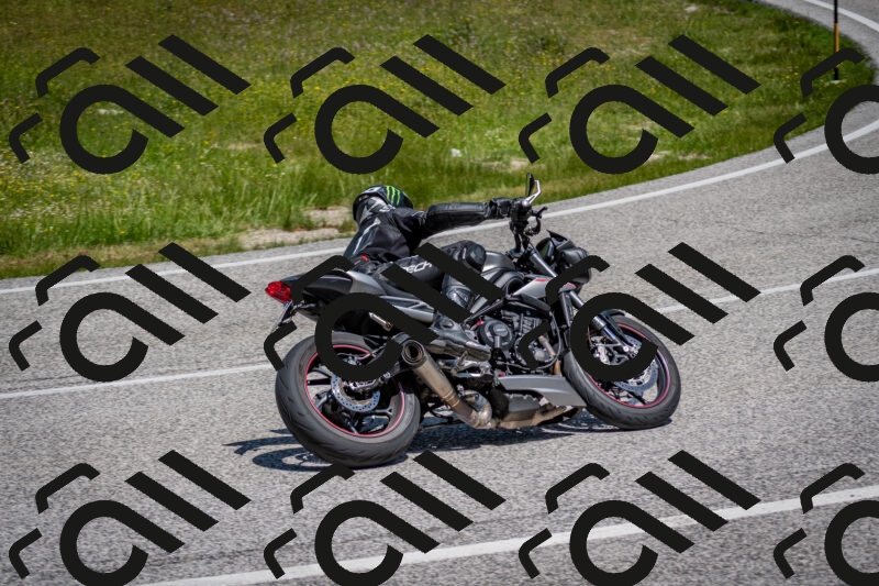 202506081216-DSC_6870_c2