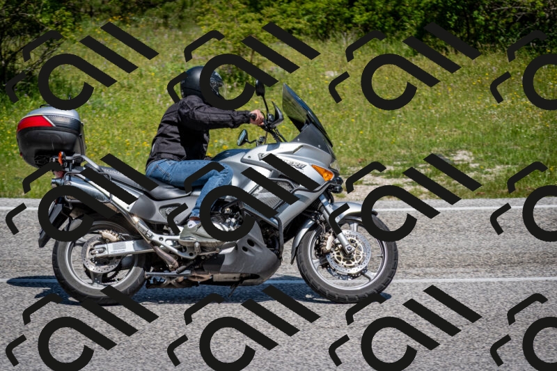 202506081216-DSC_6872_c2