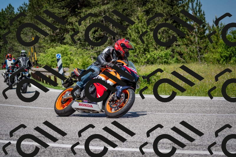 202506081218-DSC_6890_c2