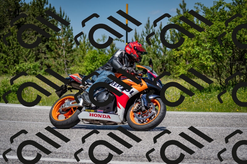 202506081218-DSC_6891_c2