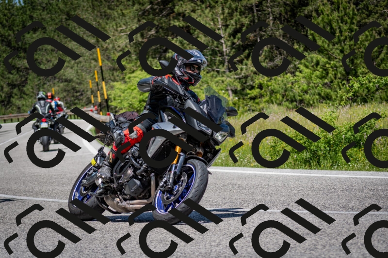 202506081218-DSC_6892_c2