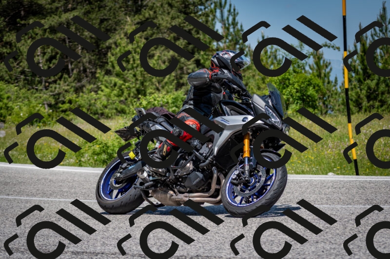 202506081218-DSC_6893_c2