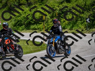 202506081219-DSC_6900_c2