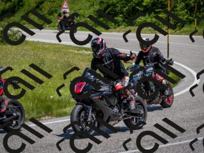 202506081219-DSC_6902_c2