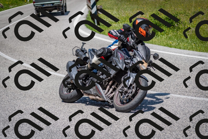 202506081219-DSC_6911_c2