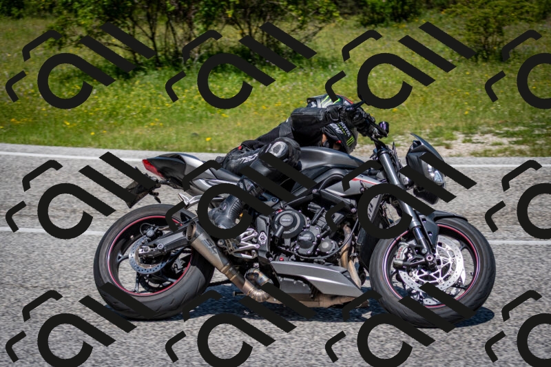 202506081219-DSC_6913_c2