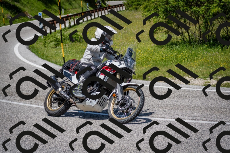 202506081220-DSC_6918_c2