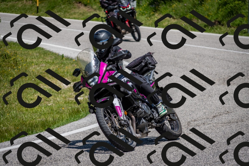 202506081223-DSC_6936_c2