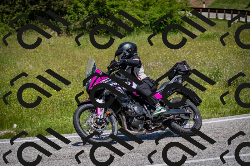 202506081223-DSC_6937_c2