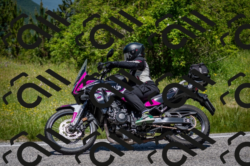 202506081223-DSC_6938_c2