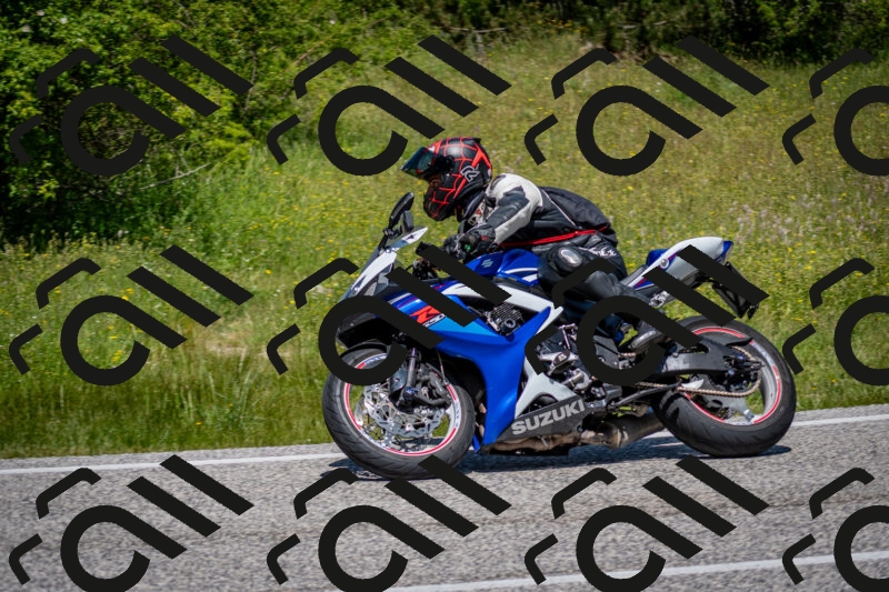 202506081223-DSC_6950_c2