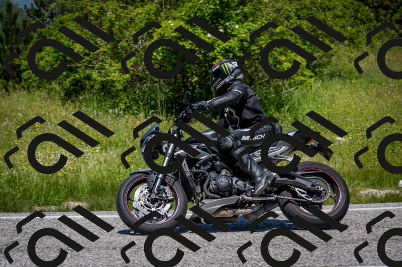 202506081224-DSC_6952_c2