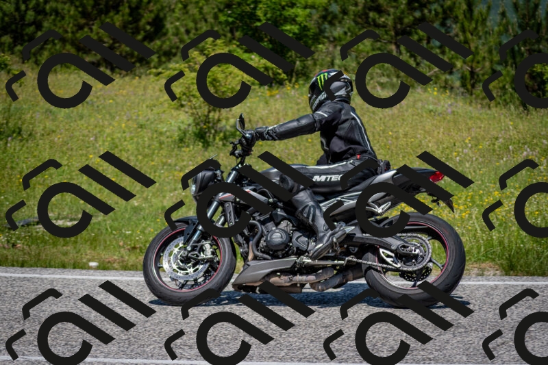 202506081224-DSC_6953_c2