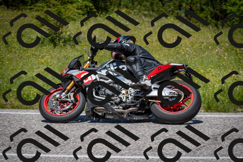 202506081224-DSC_6955_c2