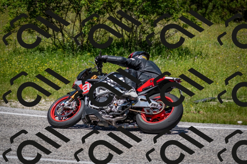 202506081224-DSC_6956_c2