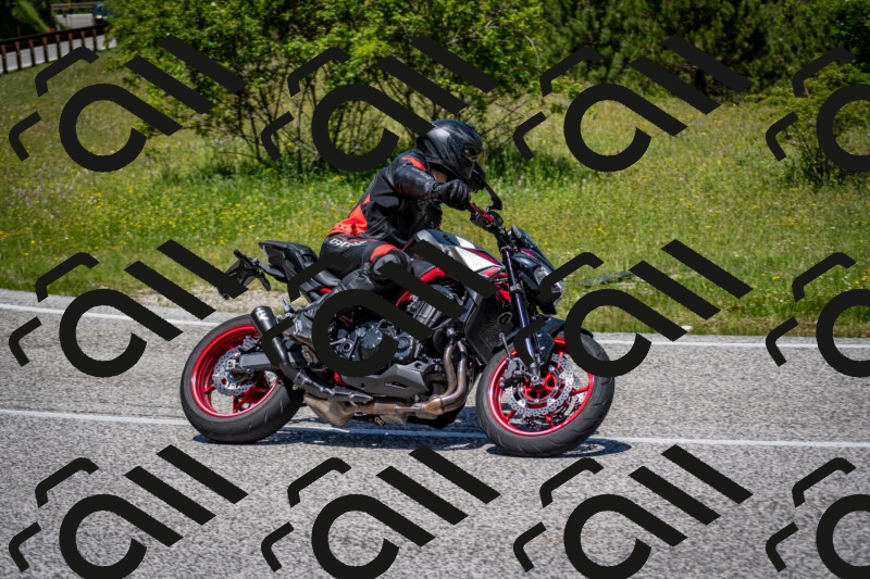 202506081224-DSC_6974_c2