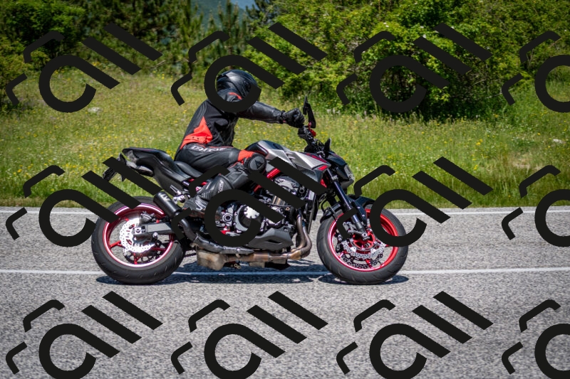 202506081224-DSC_6975_c2