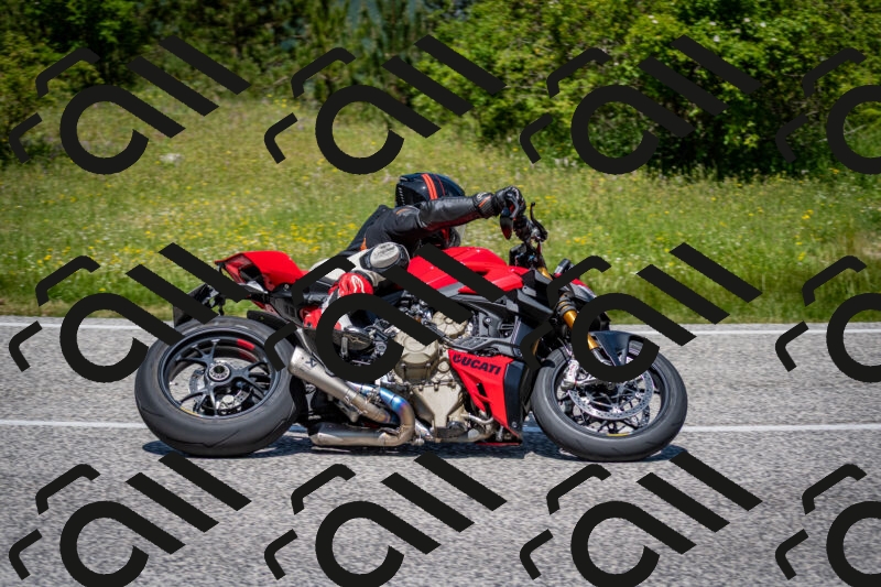 202506081224-DSC_6978_c2