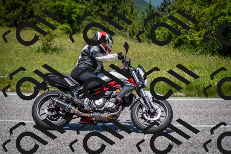 202506081224-DSC_6986_c2