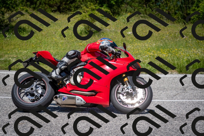 202506081224-DSC_6989_c2