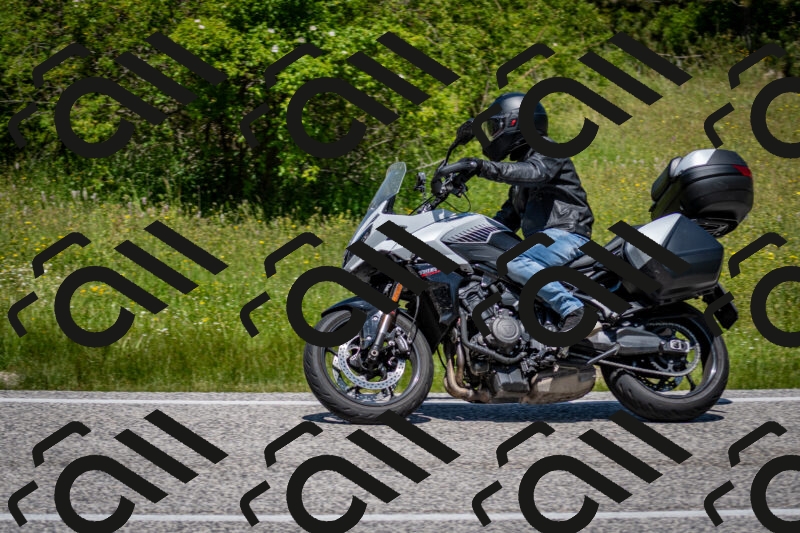 202506081225-DSC_7001_c2