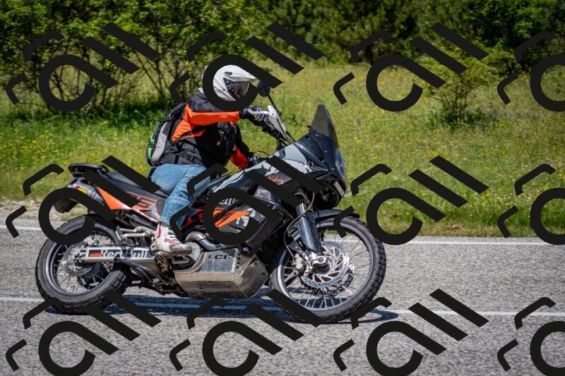 202506081225-DSC_7002_c2