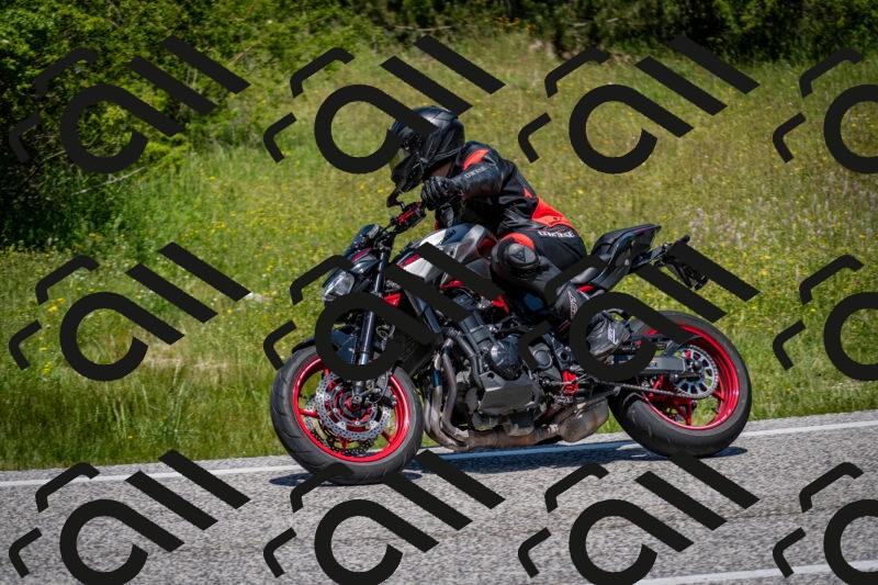 202506081225-DSC_7004_c2