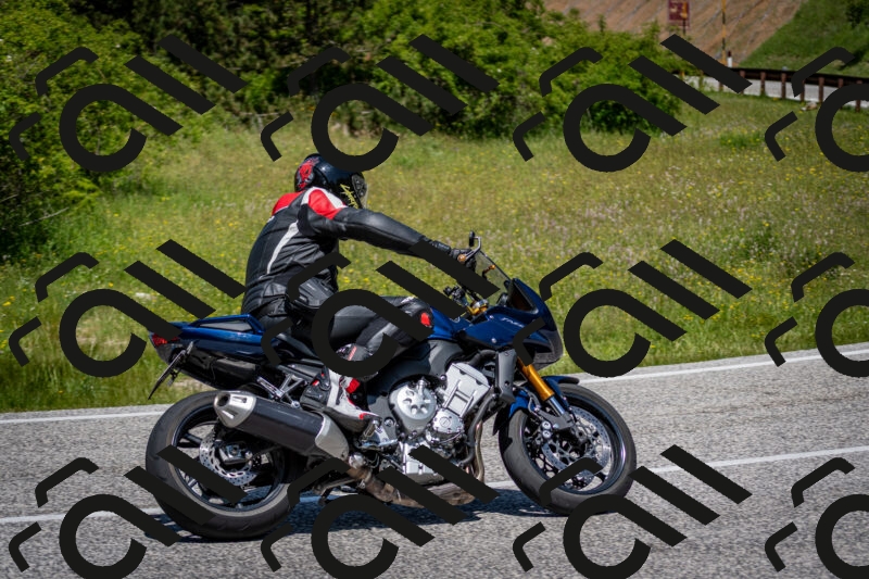 202506081225-DSC_7011_c2